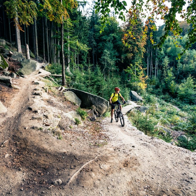 Mountain biker riding cycling in autumn forest